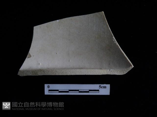 燉盅藏品圖，第1張