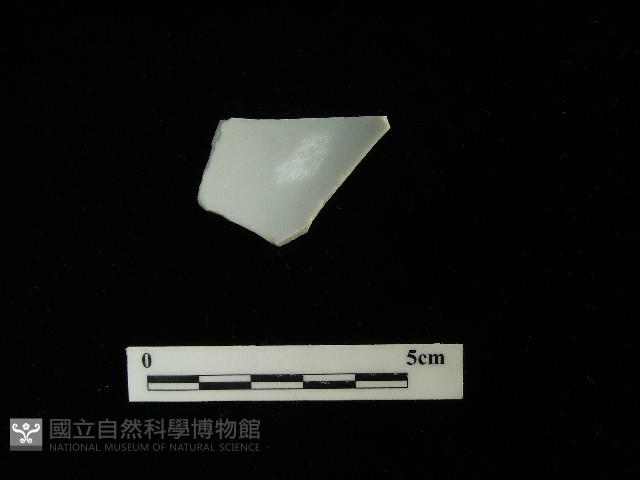 瓷片藏品圖，第2張