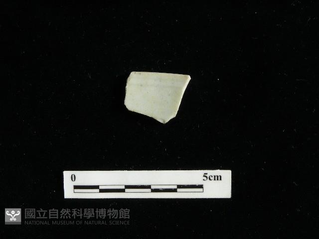 瓷片藏品圖，第2張