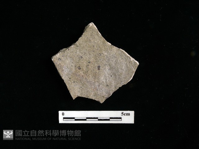 陶片藏品圖，第2張