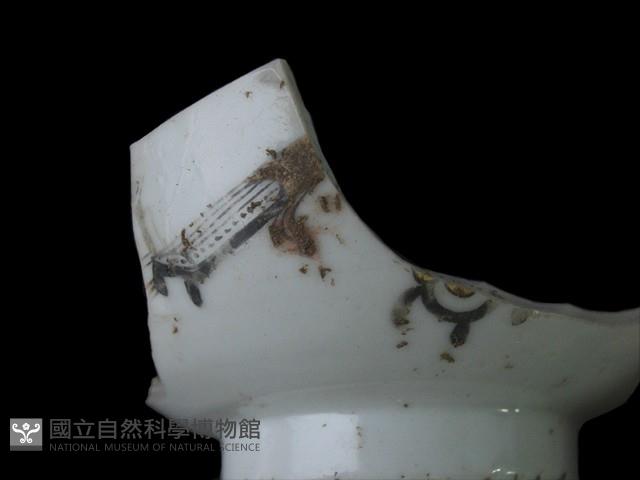 帶紋飾瓷片藏品圖，第2張