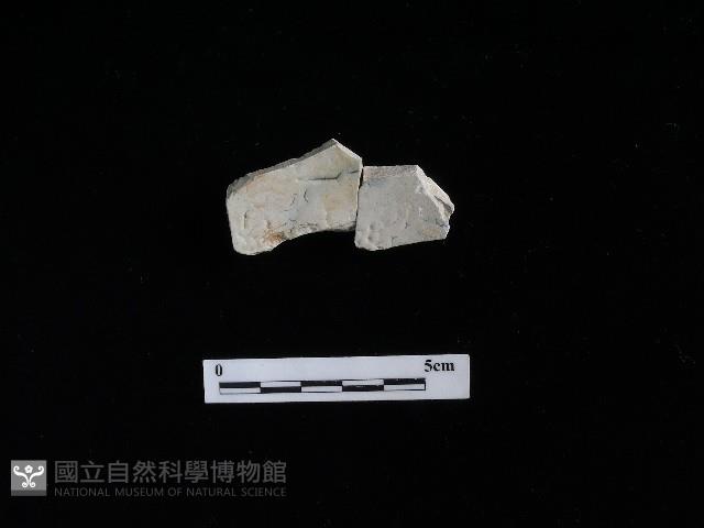 瓷盤藏品圖，第1張