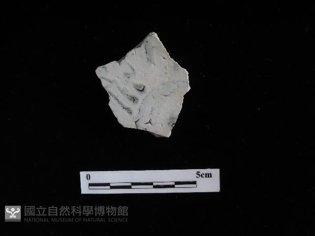 瓷盤藏品圖，第1張