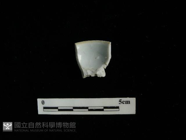 瓷杯藏品圖，第2張