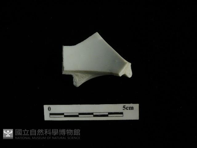 瓷碗藏品圖，第2張