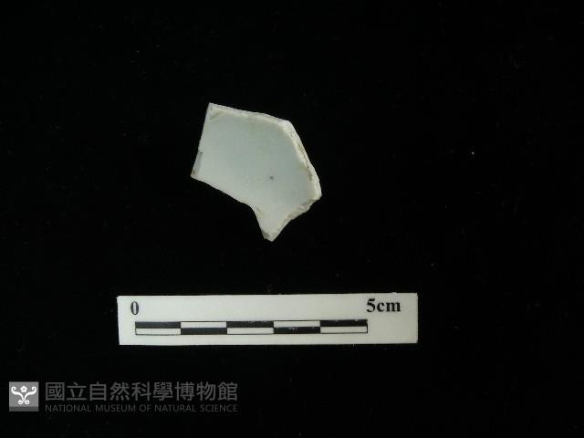 瓷片藏品圖，第2張