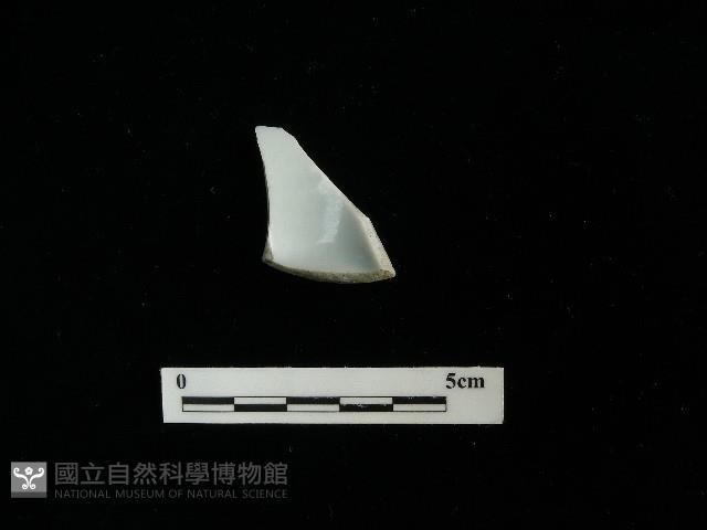 瓷杯藏品圖，第1張