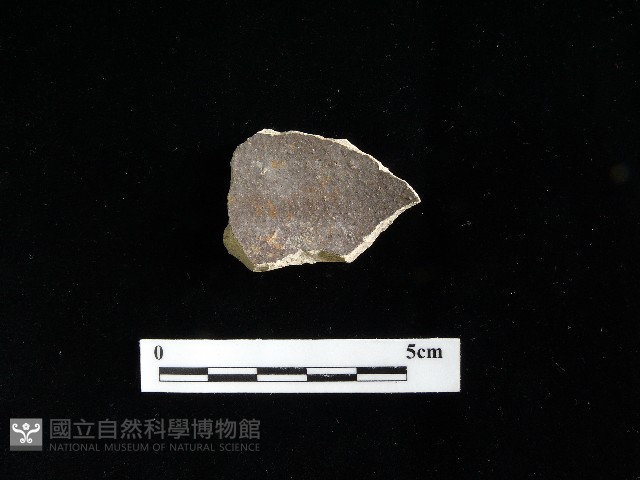 硬陶蓋藏品圖，第2張