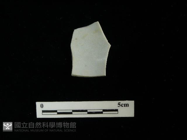 瓷片藏品圖，第1張