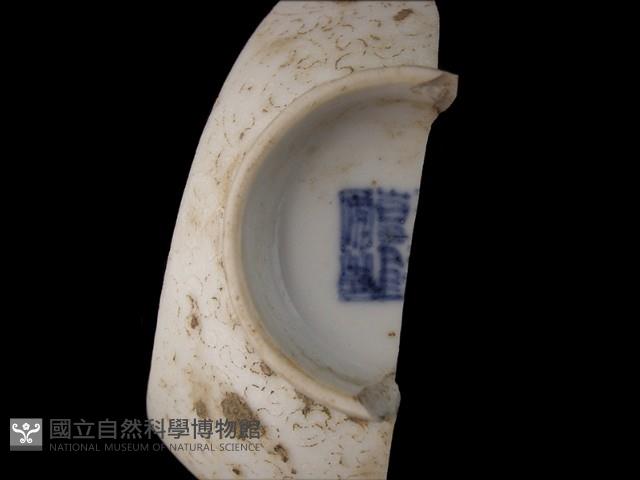 帶款識瓷片藏品圖，第1張