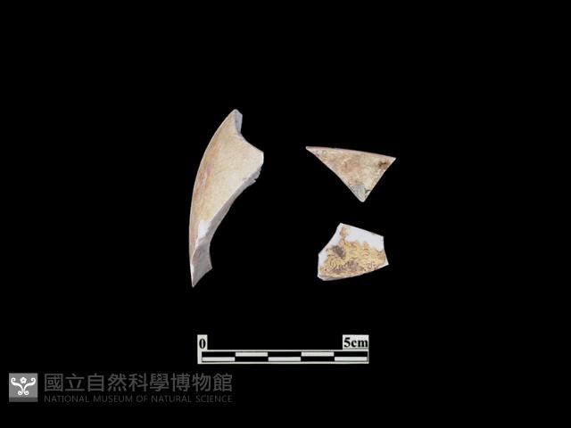 帶紋飾瓷片藏品圖，第1張