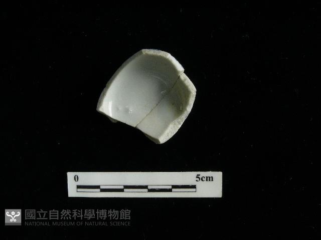 瓷杯藏品圖，第2張