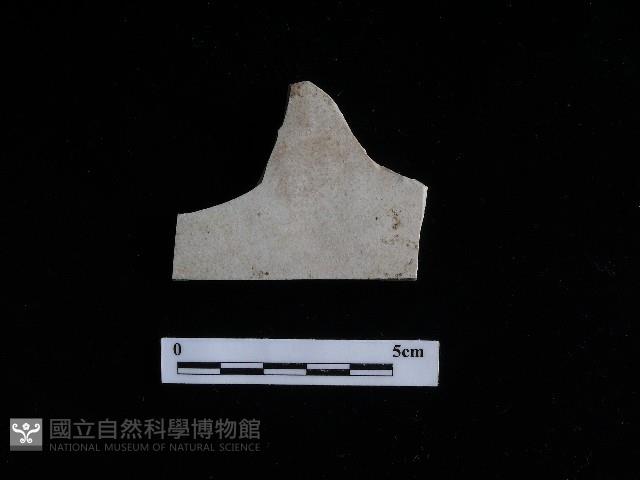 瓷片藏品圖，第1張