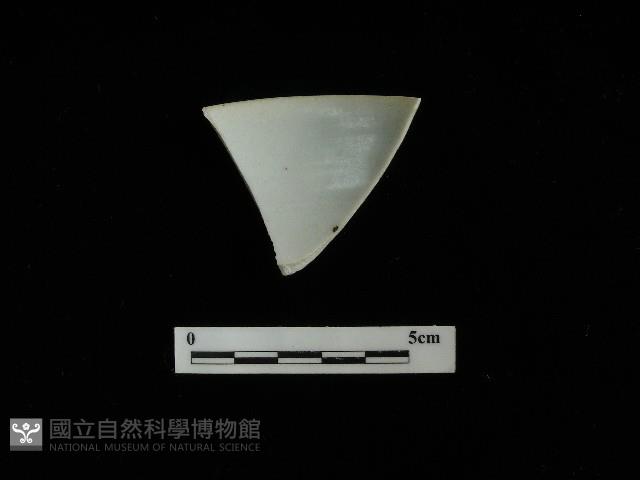 瓷碗藏品圖，第1張