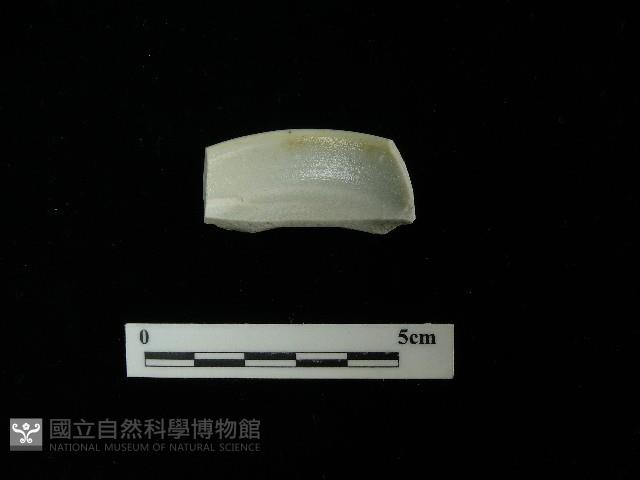 瓷碟藏品圖，第1張