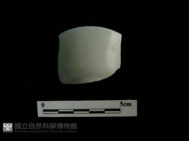 瓷杯藏品圖，第3張