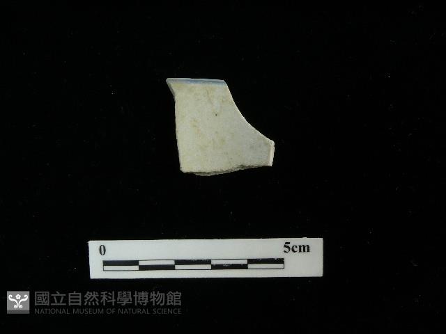 瓷片藏品圖，第2張