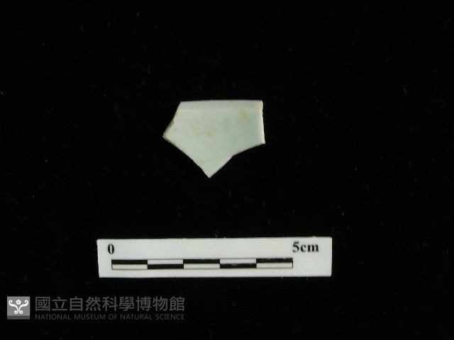 瓷片藏品圖，第1張