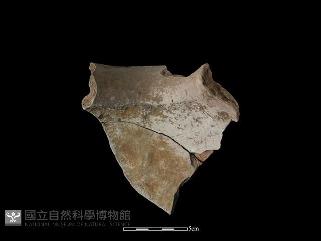 陶罐藏品圖，第2張