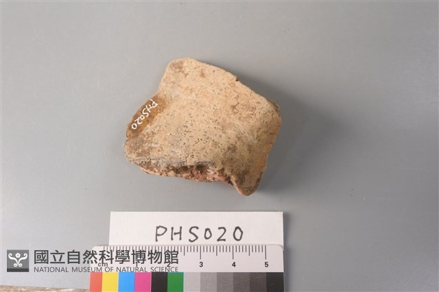 陶片藏品圖，第4張