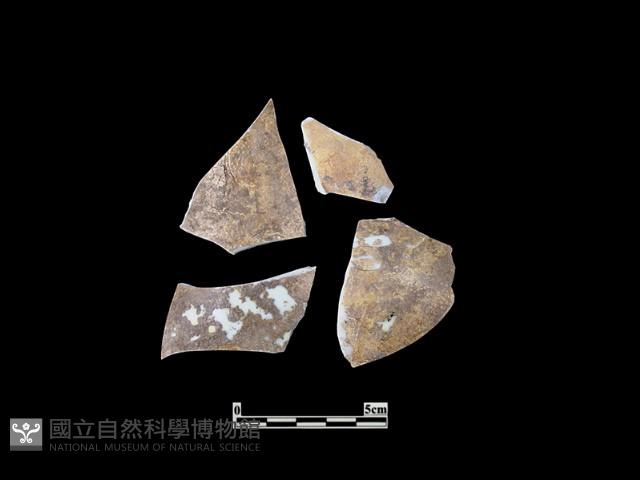 帶紋飾瓷片藏品圖，第1張