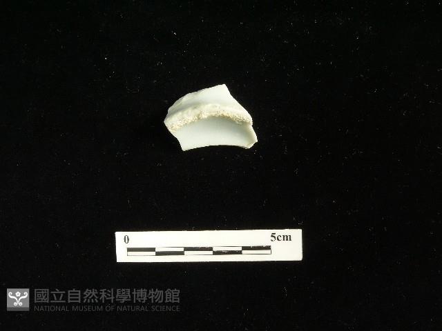 瓷碗藏品圖，第1張