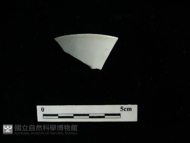 瓷杯藏品圖，第2張