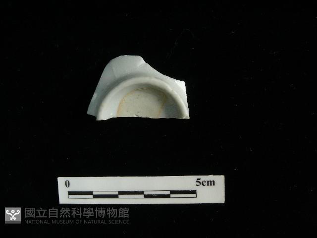 瓷杯藏品圖，第2張