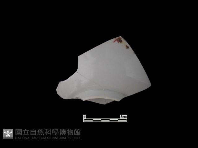 帶紋飾瓷片藏品圖，第1張