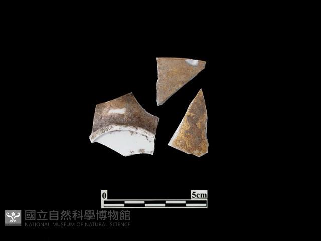 帶紋飾瓷片藏品圖，第1張