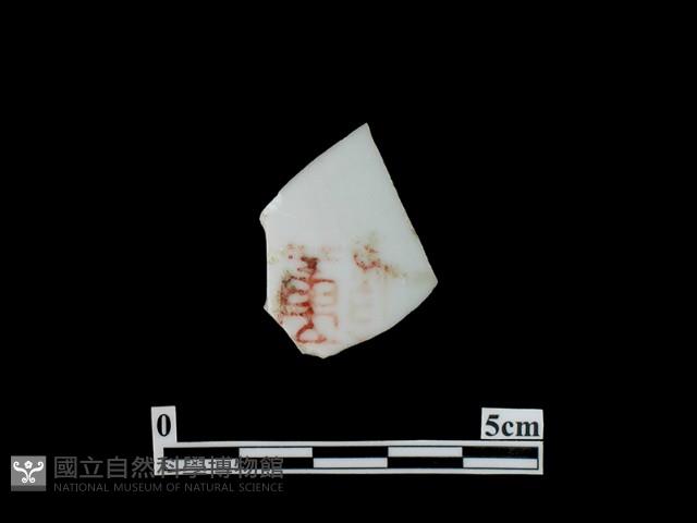 帶紋飾瓷片藏品圖，第2張