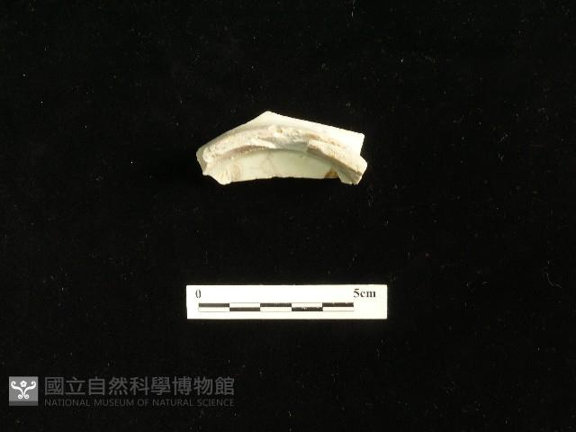 瓷碗藏品圖，第1張