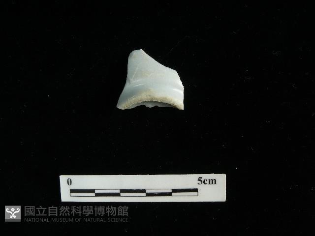 瓷杯藏品圖，第1張