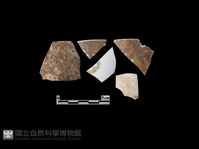 帶紋飾瓷片藏品圖，第1張