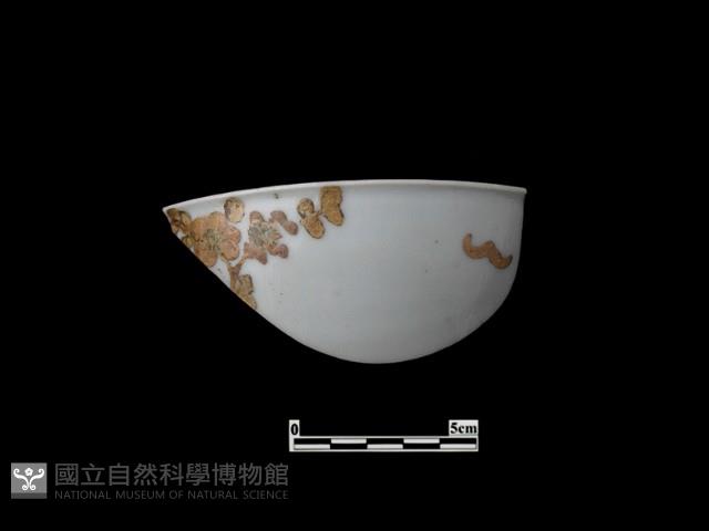 帶紋飾瓷片藏品圖，第1張