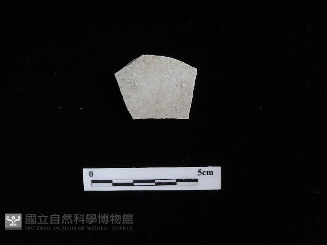 瓷盤藏品圖，第1張