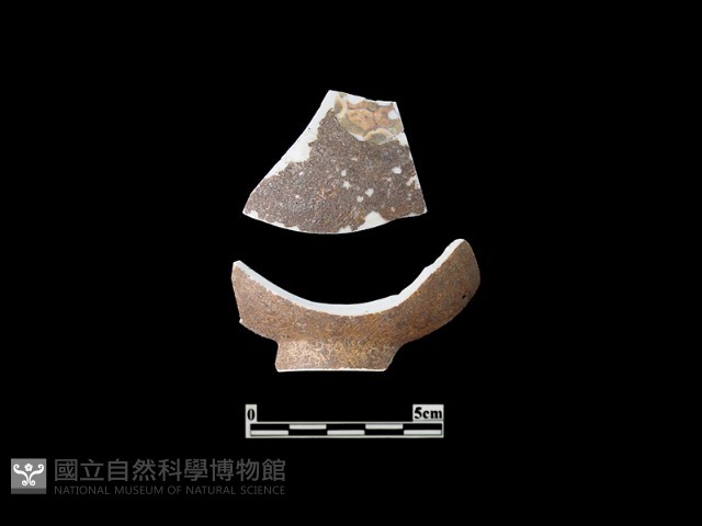 帶紋飾瓷片藏品圖，第1張