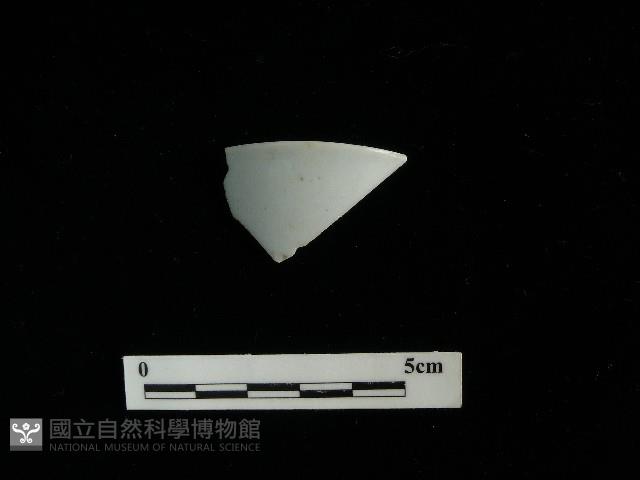 瓷杯藏品圖，第1張