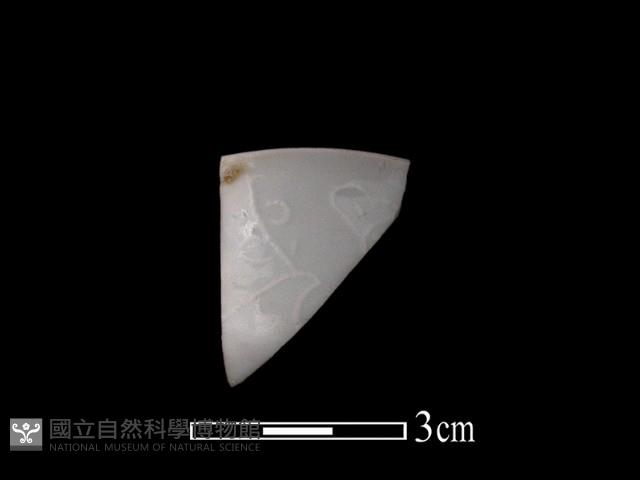 帶紋飾瓷片藏品圖，第1張