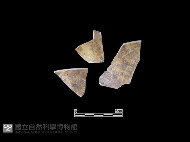 帶紋飾瓷片藏品圖，第2張