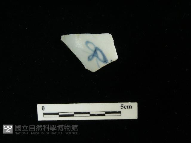 瓷片藏品圖，第1張