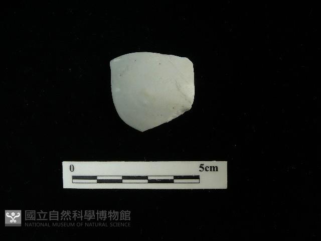 湯匙藏品圖，第1張