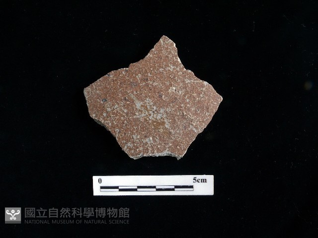 陶片藏品圖，第1張