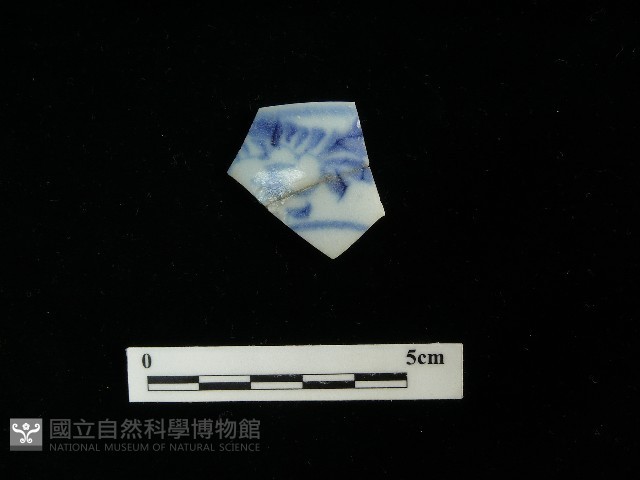 瓷片藏品圖，第2張