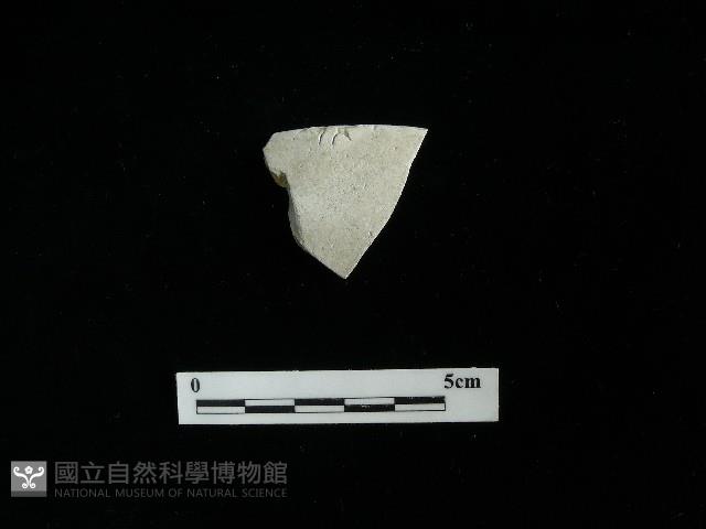 瓷盤藏品圖，第1張