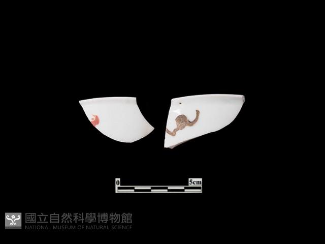 帶紋飾瓷片藏品圖，第1張