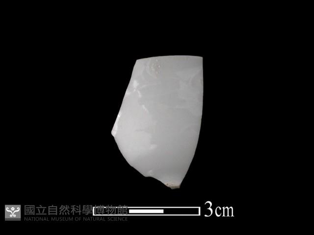 帶紋飾瓷片藏品圖，第1張