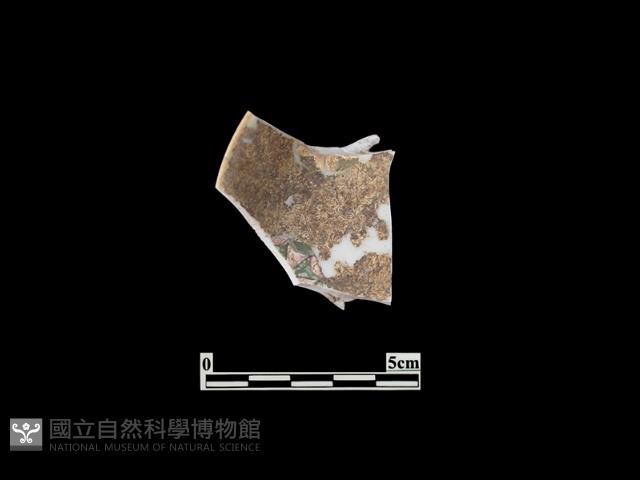 帶紋飾瓷片藏品圖，第1張