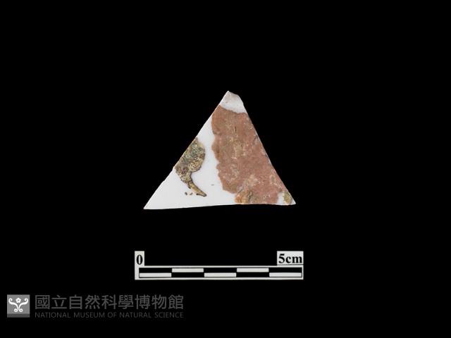 帶紋飾瓷片藏品圖，第1張