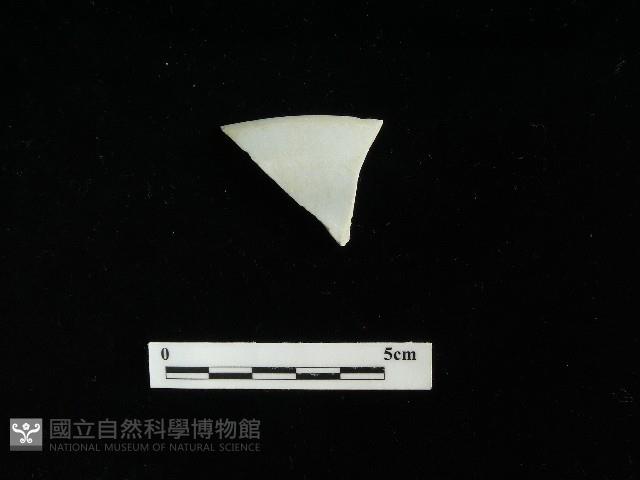 瓷盤藏品圖，第2張